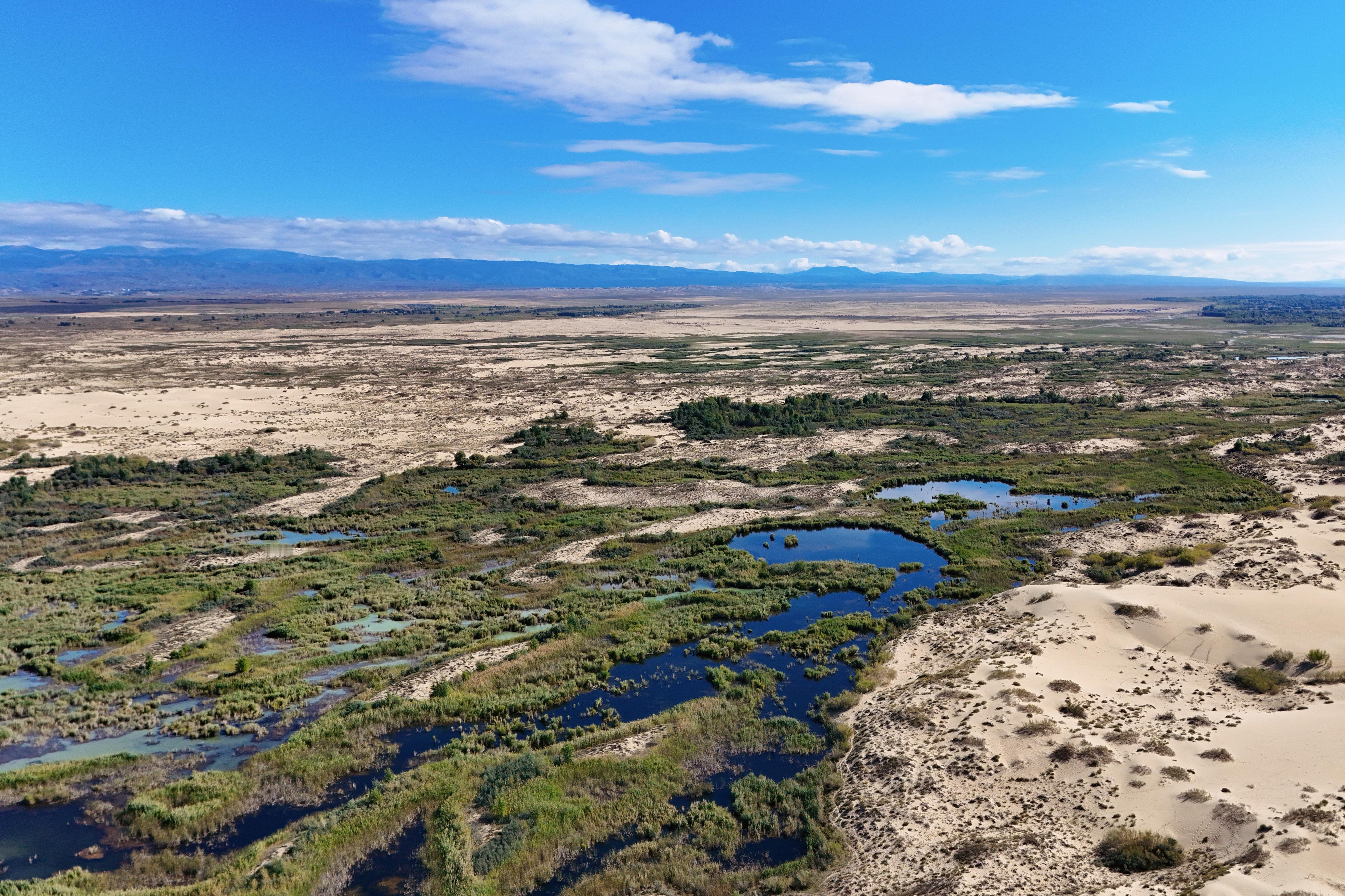 候鸟超出片计划哈巴河县萨尔布拉克镇，坐落于祖国西北尾翎，有金色溪水之意，因沙而金