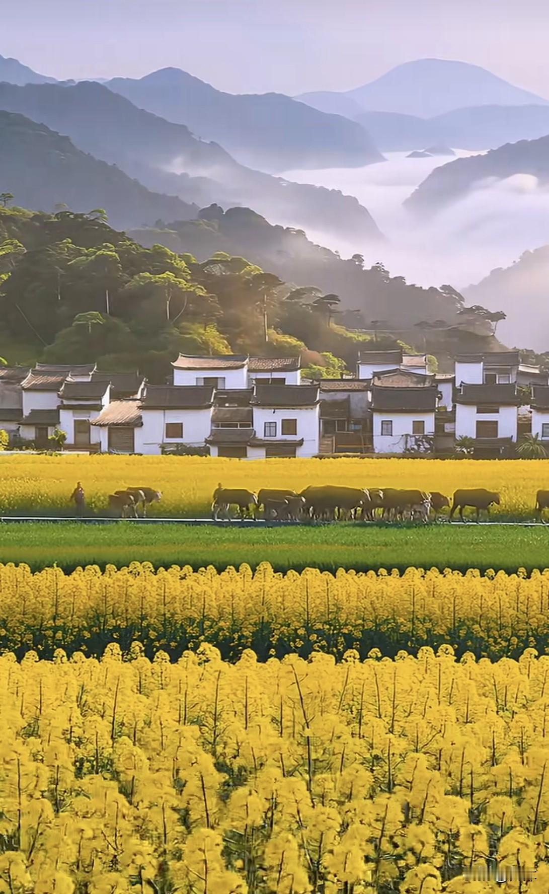 曾在贵阳生活一段时日
深感这里生活节奏恰到好处
不像北上广深
快节奏让人喘不过气