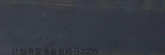 真瓜主张子墨 计划有变准备登陆2026