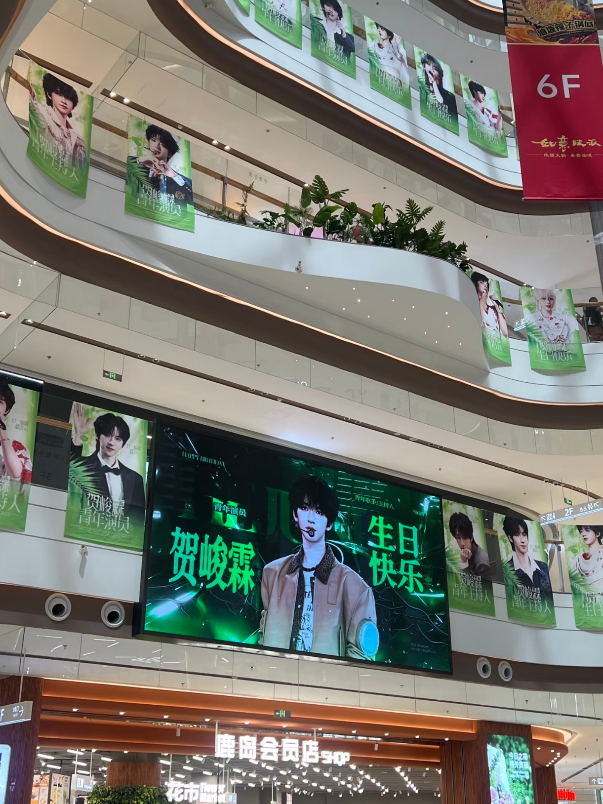 西安痛楼返图，全是美美的小樱