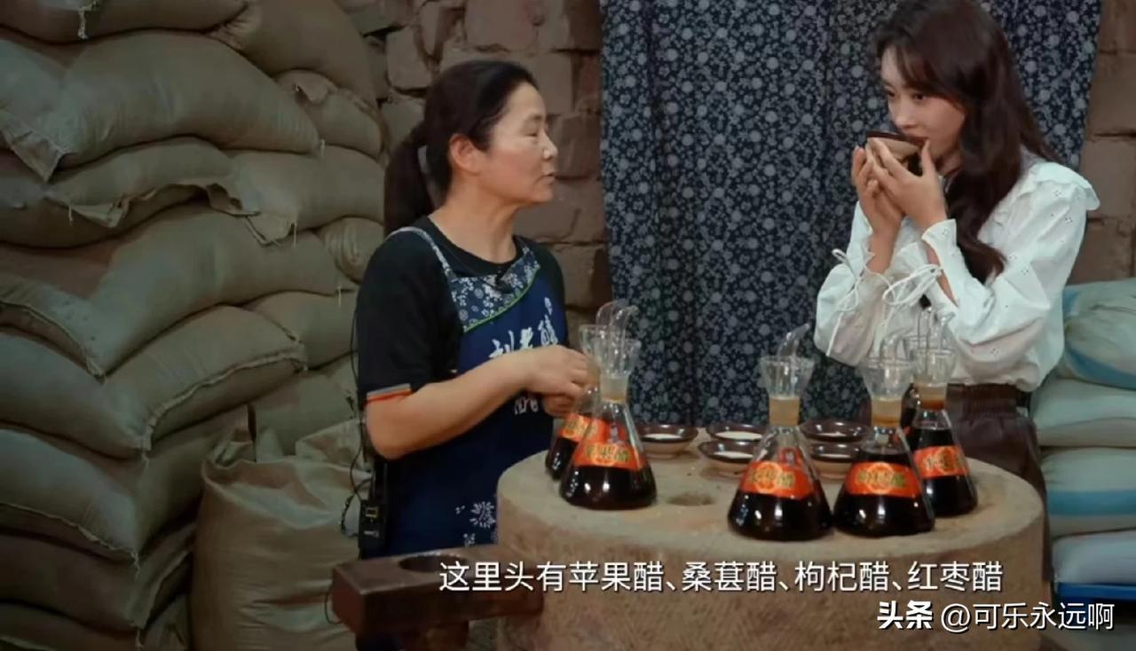 醋是我们日常生活中不可缺少的调味品，和我们做菜时所需的油盐处于同样重要的位置。
