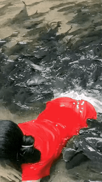 这是什么鱼饵啊？诱鱼效果这么好！钓鱼佬们看到了，可得发疯了！