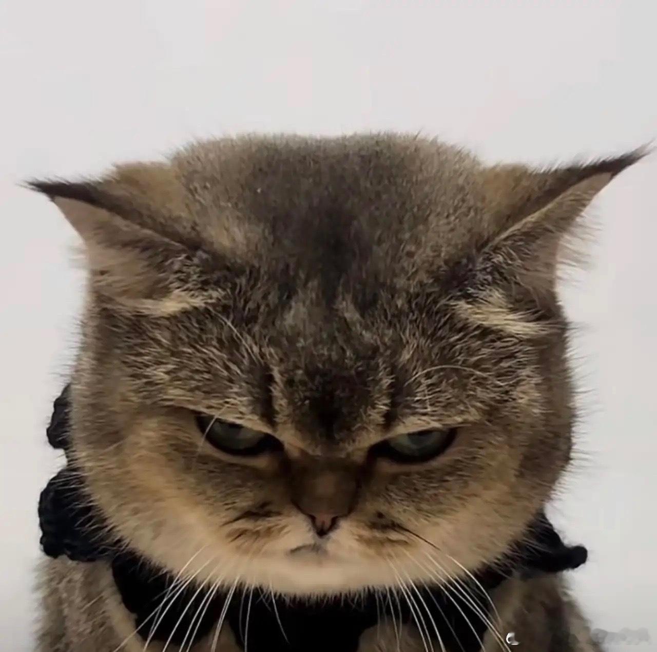 人性铁律： 1、夫妻，不送葬 2、亲戚，不共财 3、无钱，莫投亲4、位卑，莫劝人