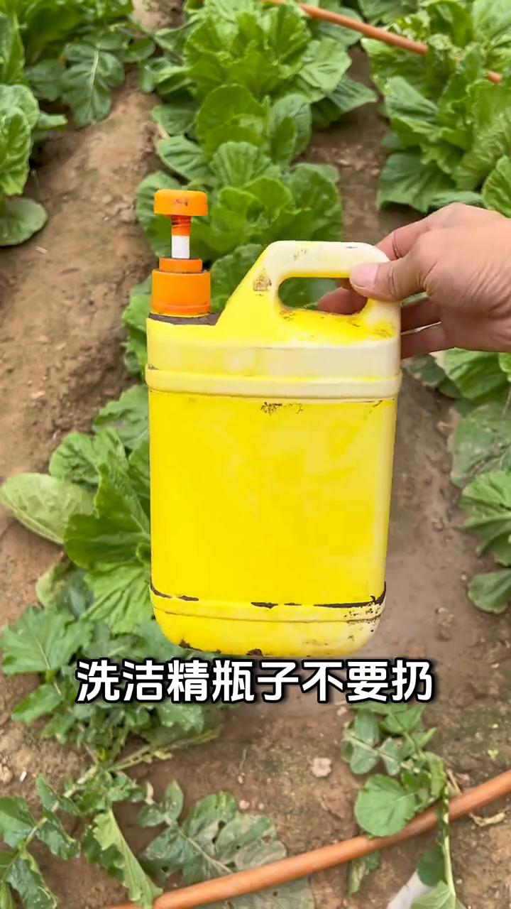 生活小妙招。
洗洁精瓶子不要扔，一招变废为宝。剪下来一小块放在两块木板中间，再拧
