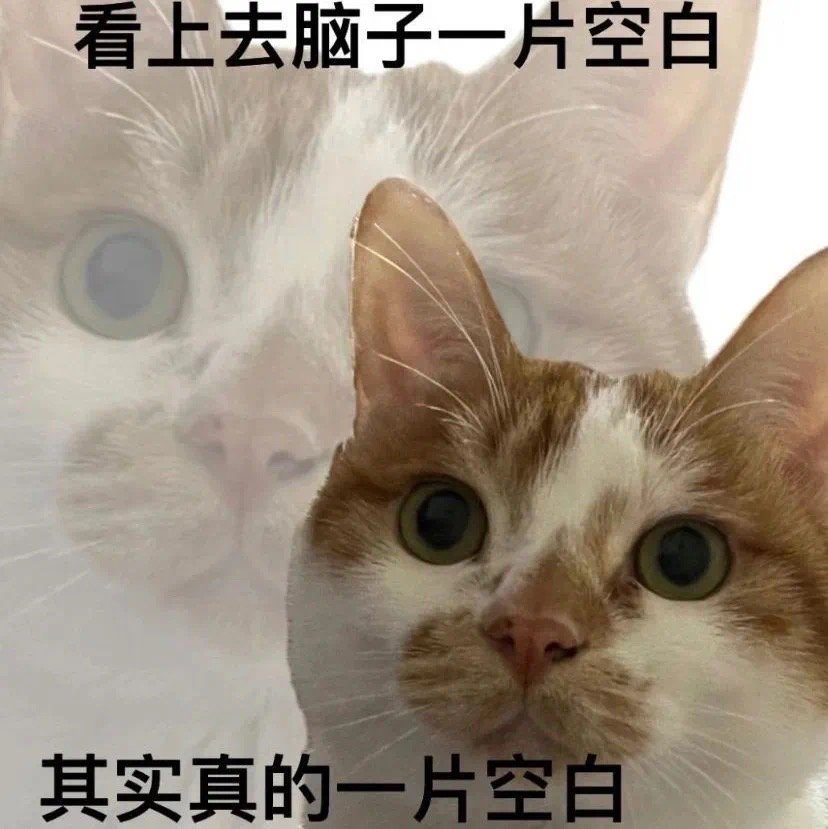 #表情包[超话]#总之脑子一片空白……[二哈][二哈] ​​​
