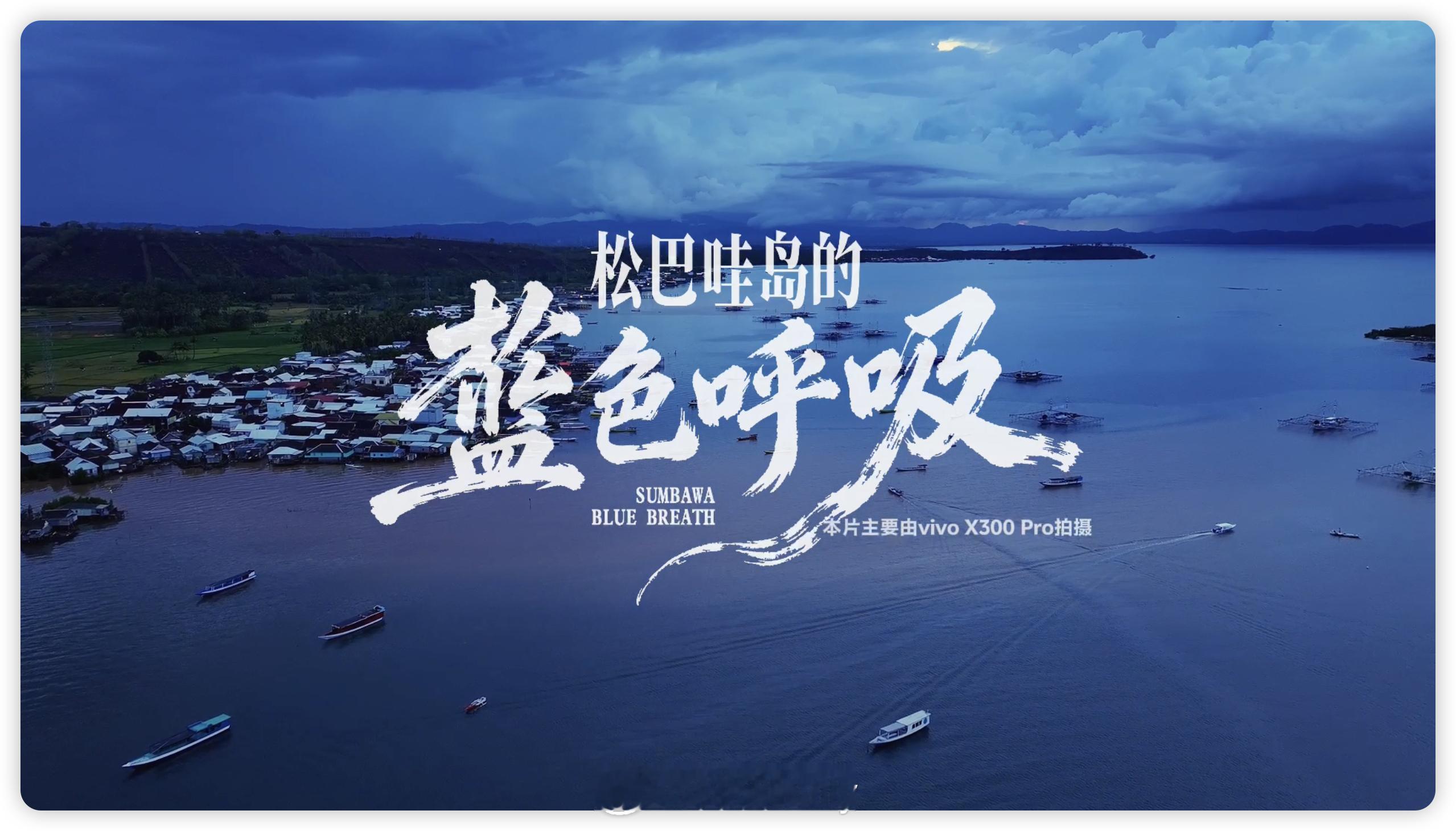 手机也能追鲸我着实没想到，毕竟海底虽美，但是海底也暗啊..想要拍好拍漂亮真的很不