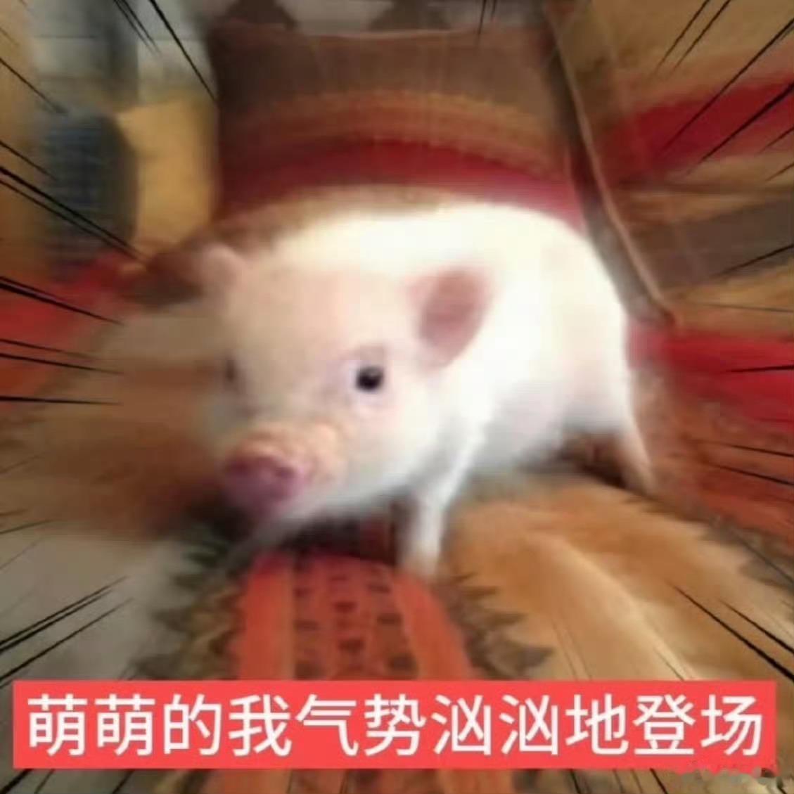 我睡醒了