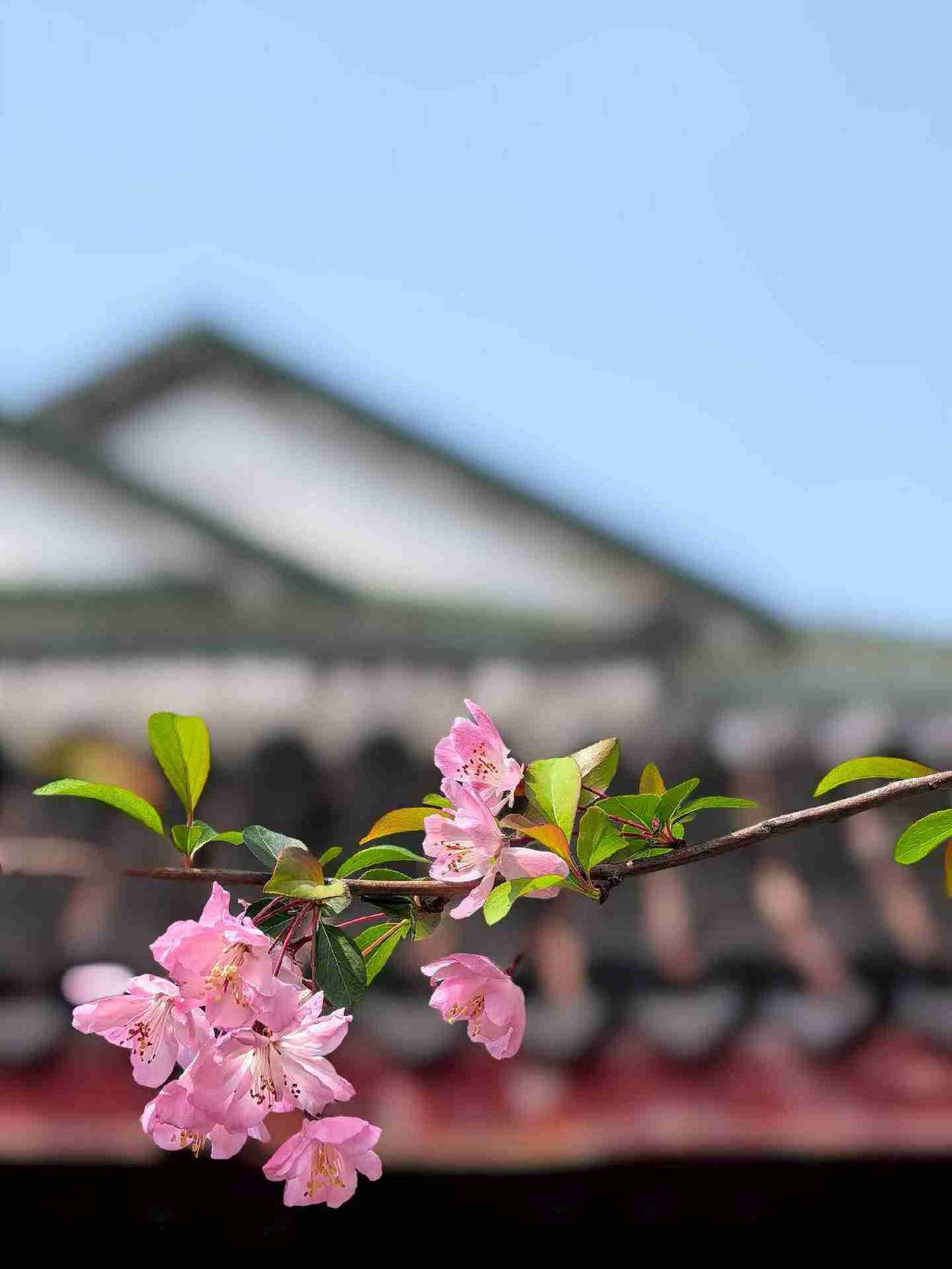 我的今日状态：😁轻松愉快
我这里的天气：☀️晴天
(根据身边人改编)
我感觉这