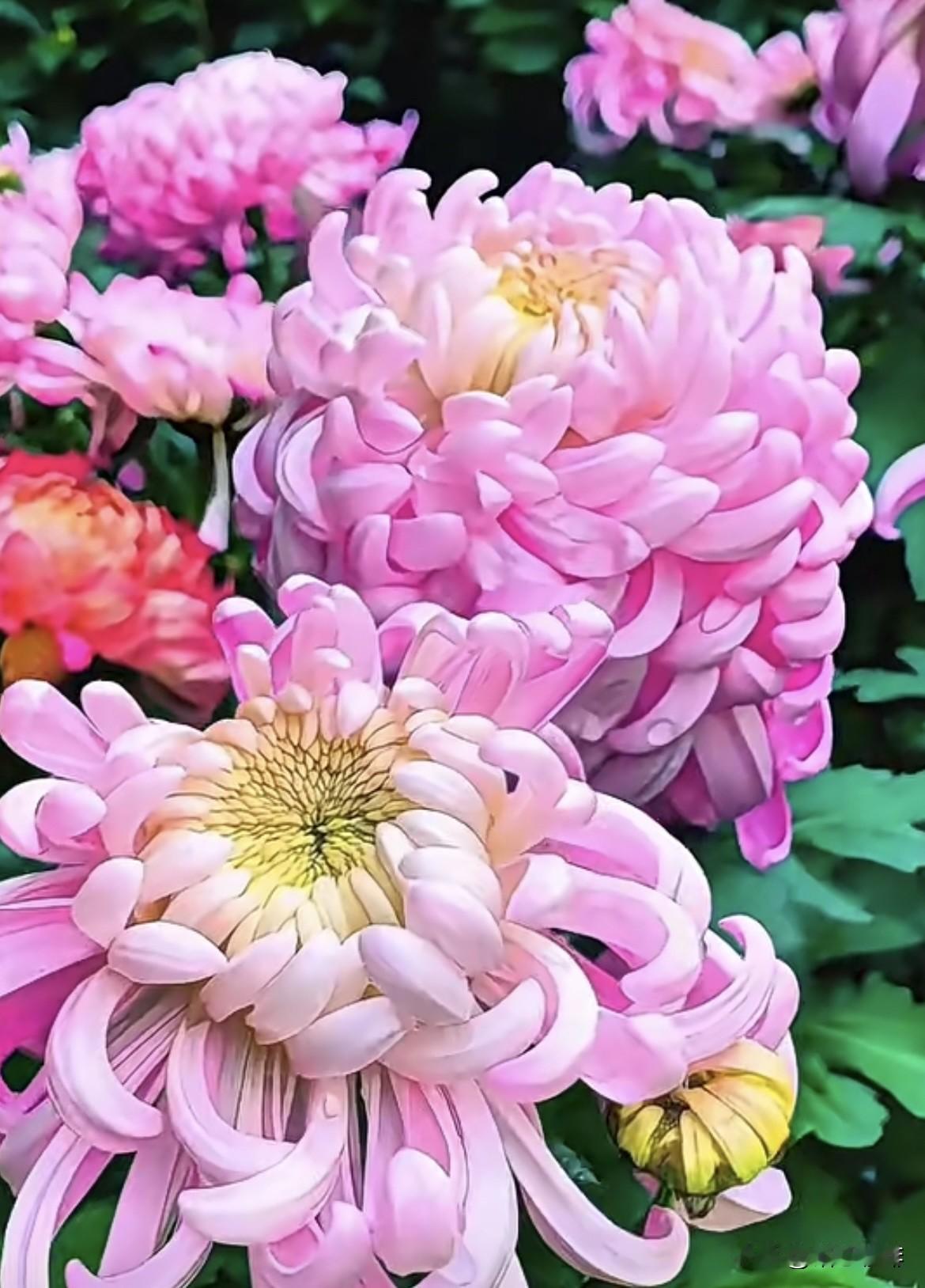 上句：春夏秋冬四季下雨
  下句：梅兰竹菊满庭清香