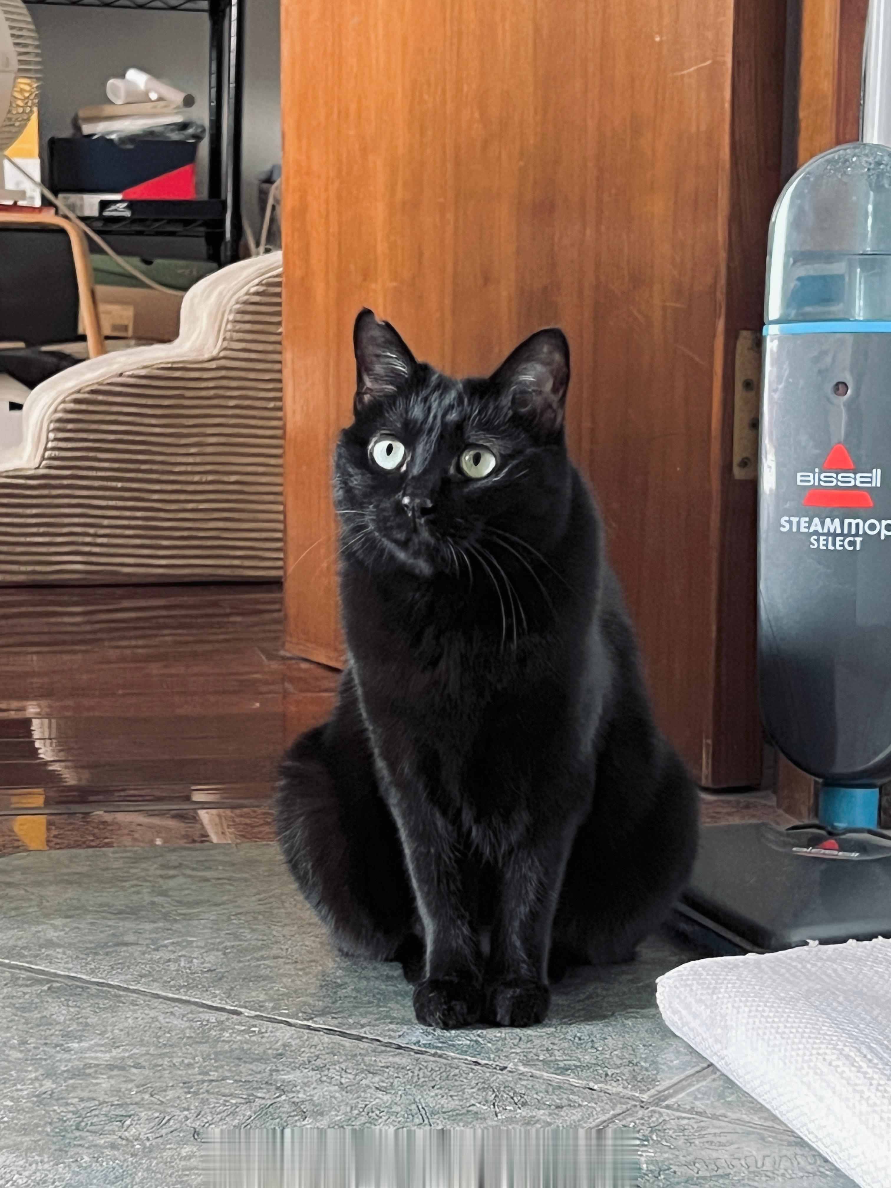 美好蝦#蝦蝦不可以太可愛# ​​​