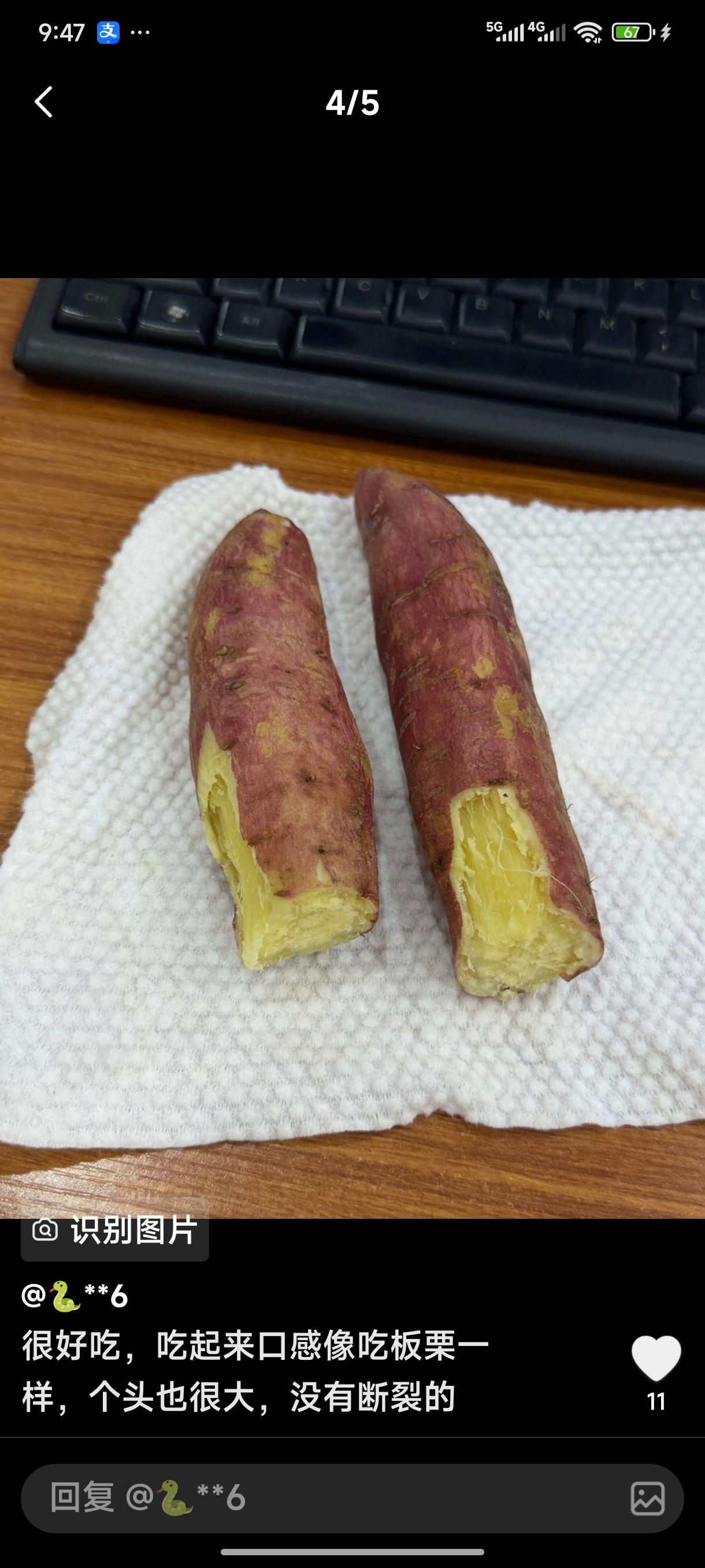 现挖陕西新鲜板栗红薯粉面无丝甘甜番薯粗粮香薯烤地瓜3/5斤代餐