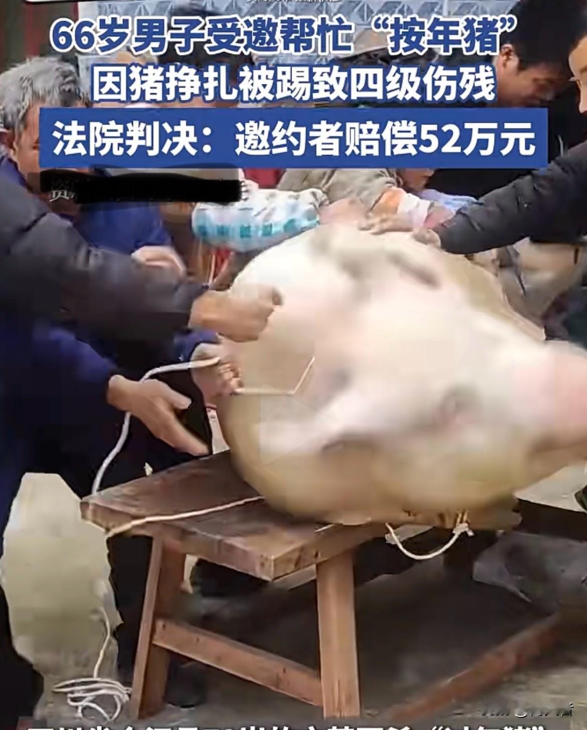 最近“刨猪汤”在川渝火爆得如同火山爆发一般，重庆合川女孩呆呆家的“杀猪宴”在网上