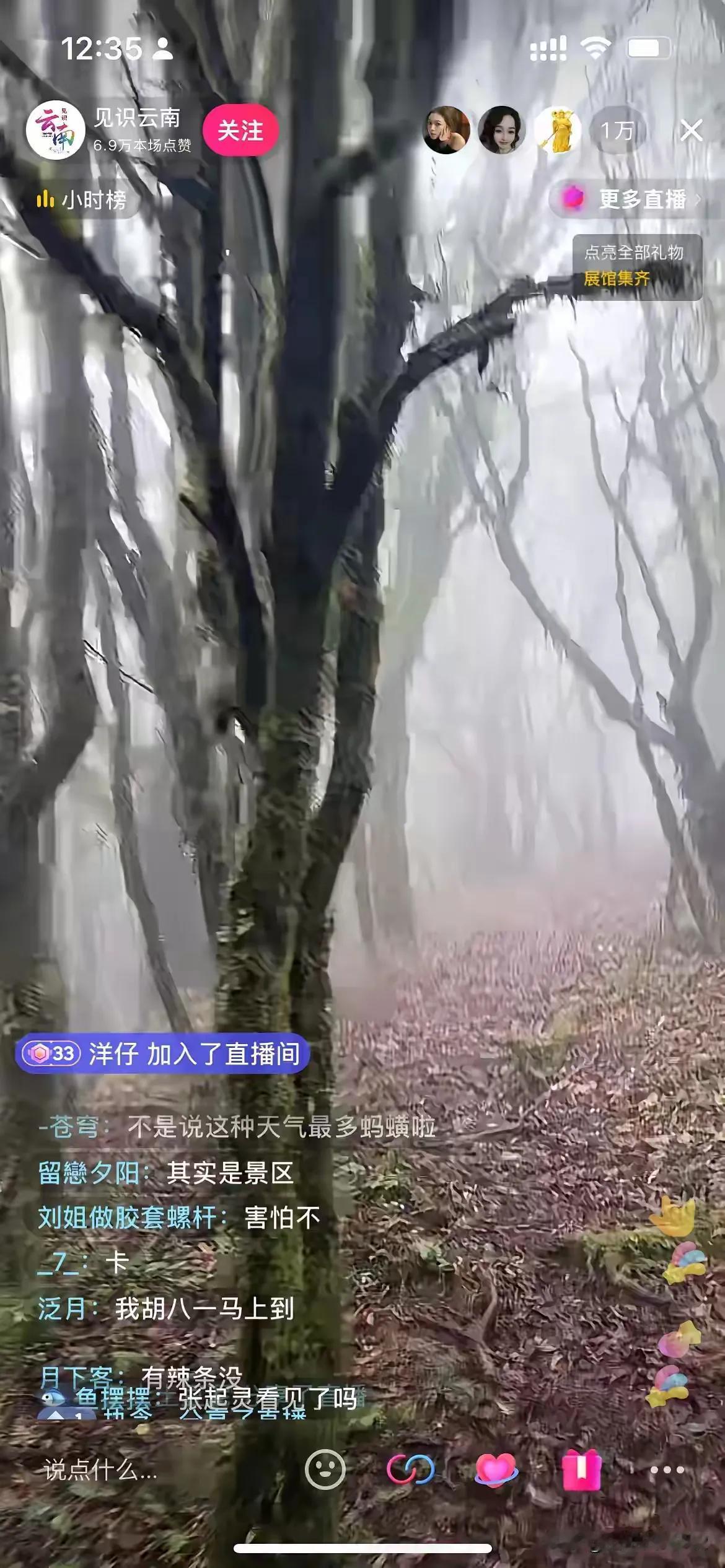 这个家伙胆子真大，今天下午，他一个人深入哀牢山，给大家直播现在的样子！

所见之