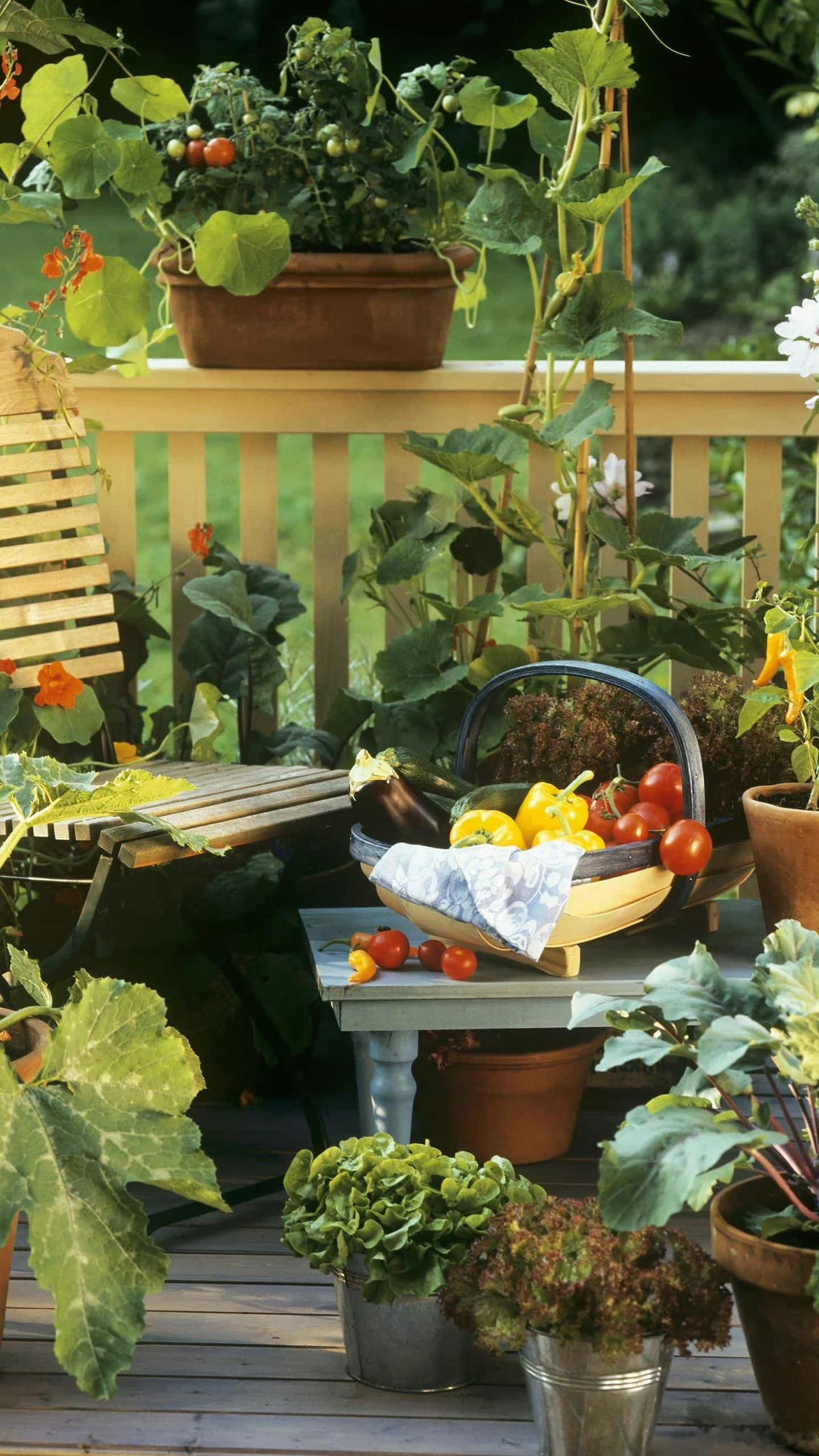 .'早安早安,新的一天治愈不开心人生感悟人生微语早安心语 情感语录每天说早安心情