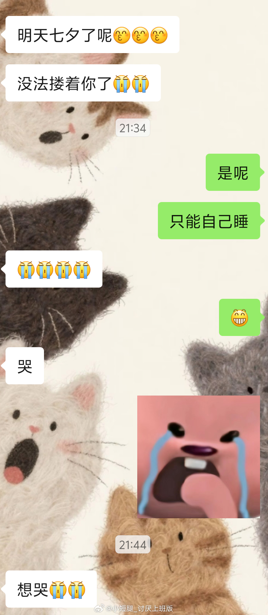 我的耐心： 