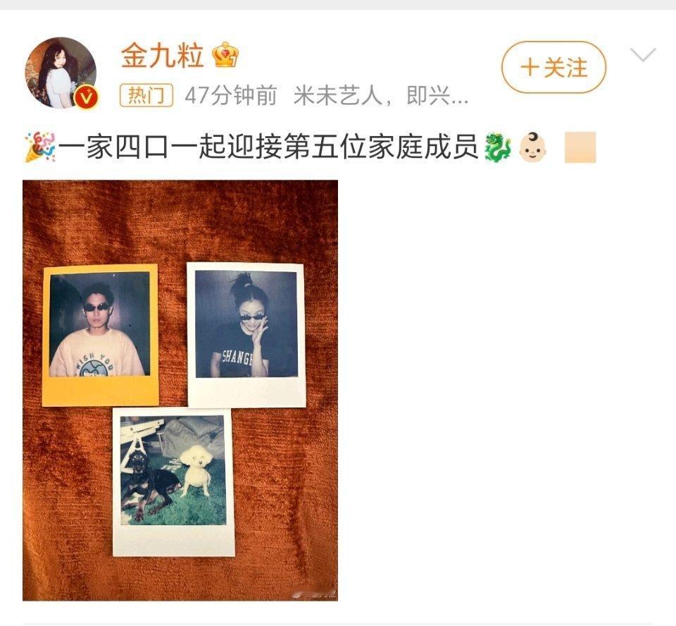 金靖结婚了已经？？？好突然的消息#金靖 怀孕#    #金靖 迎接第五位家庭成员