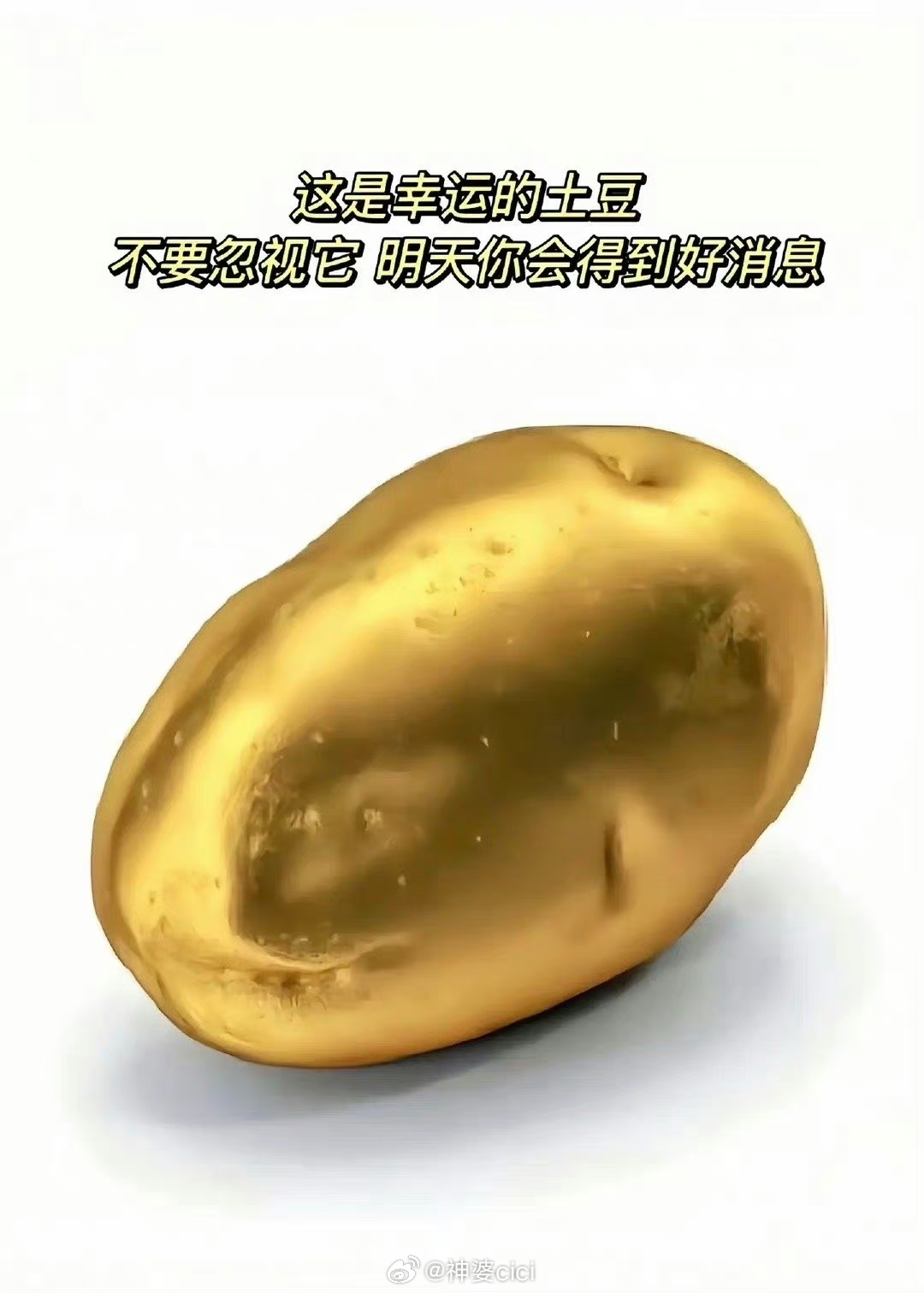 转发幸运土豆，你明天会得到一个好消息！！！ ​​​