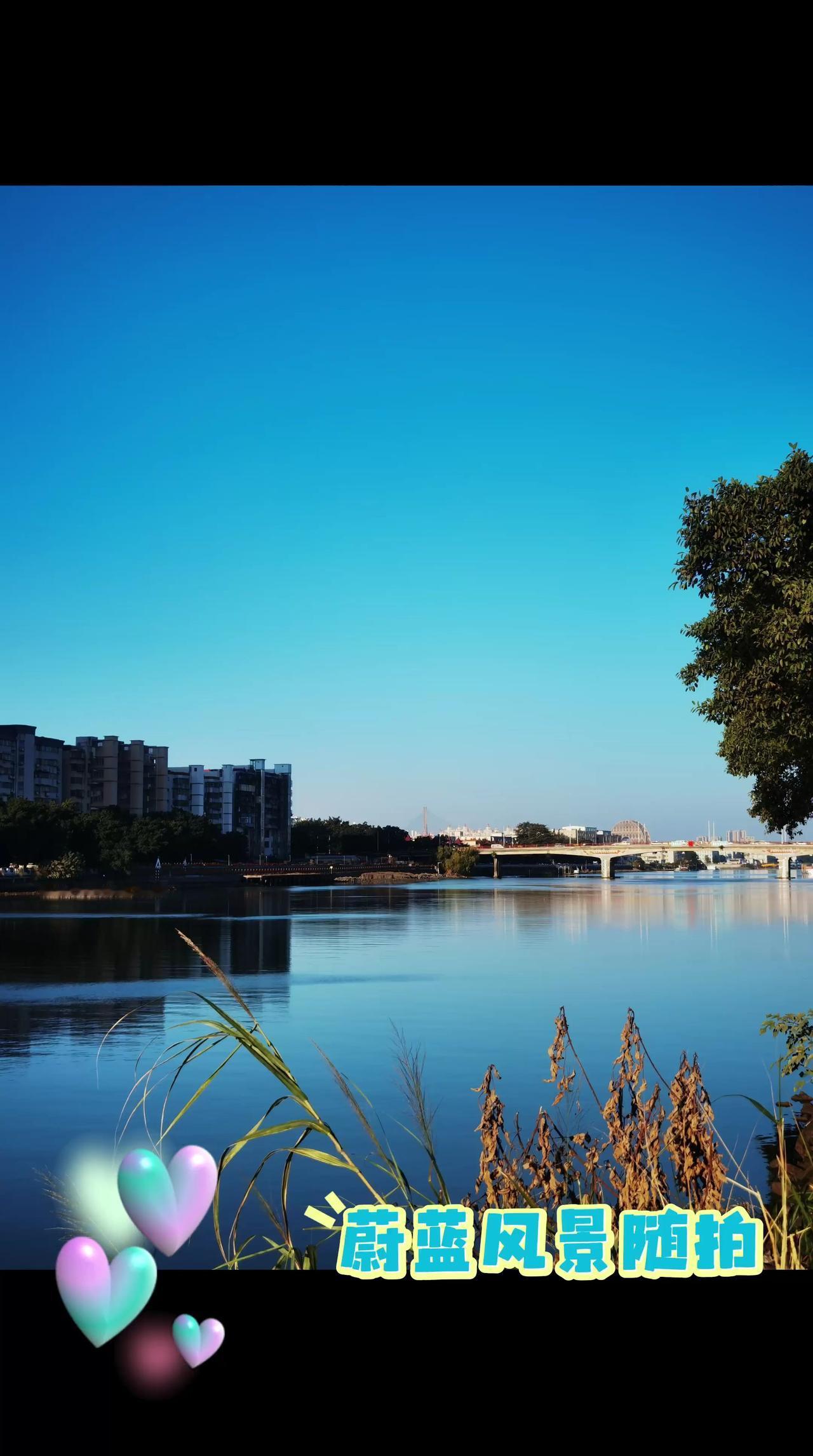 散步随手拍，感受广州的蔚蓝天空，治愈一切！