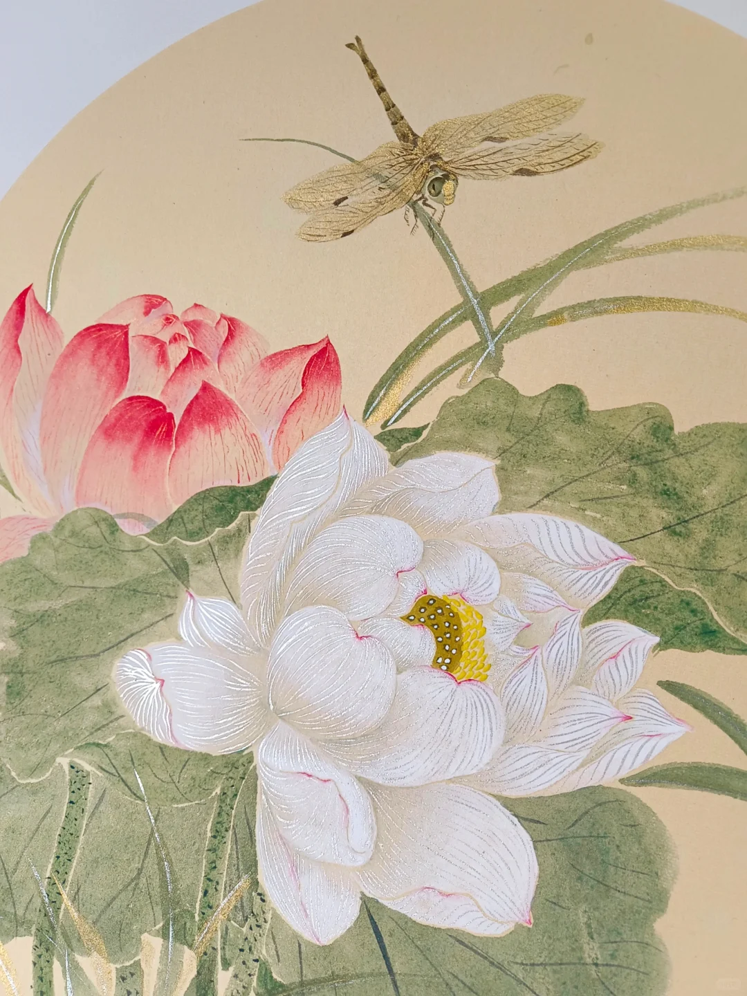没骨荷花‖小荷才露尖尖角