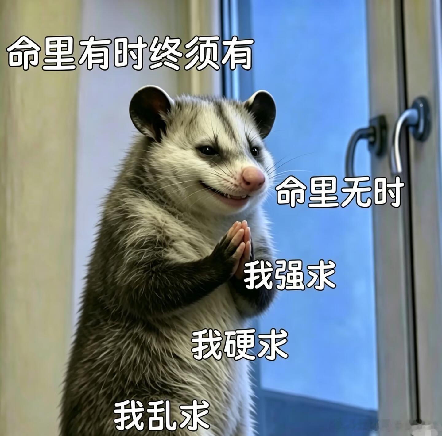 白玉兰提名晚宴肖战来了吗？来了吗？我已急晕，各大平台乱串到处找路透