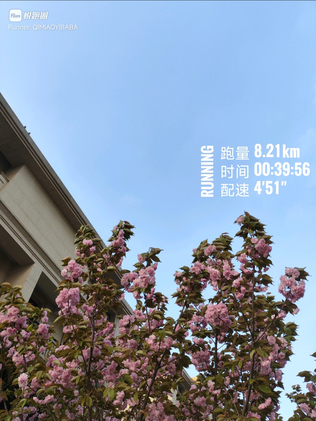 同学们好👌🏻踏踏实实的弄吧