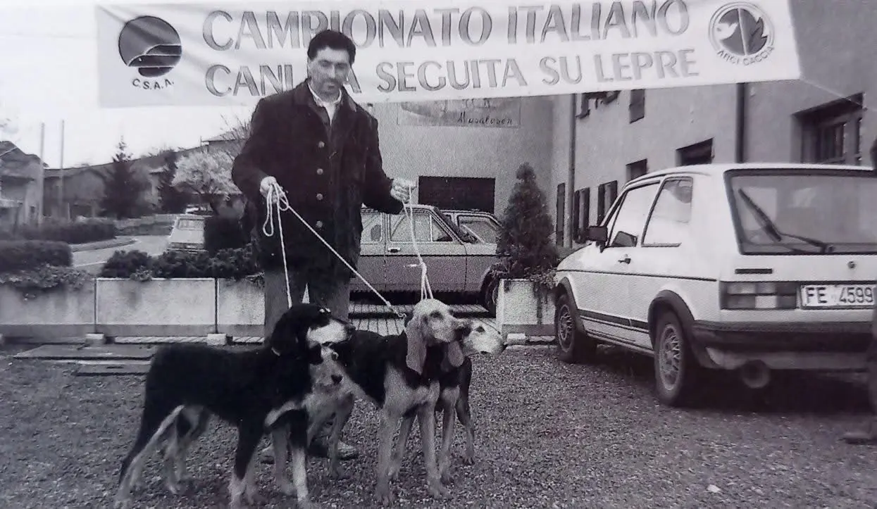 1982 意大利猎犬Campionato italiano 赛古奥猎犬