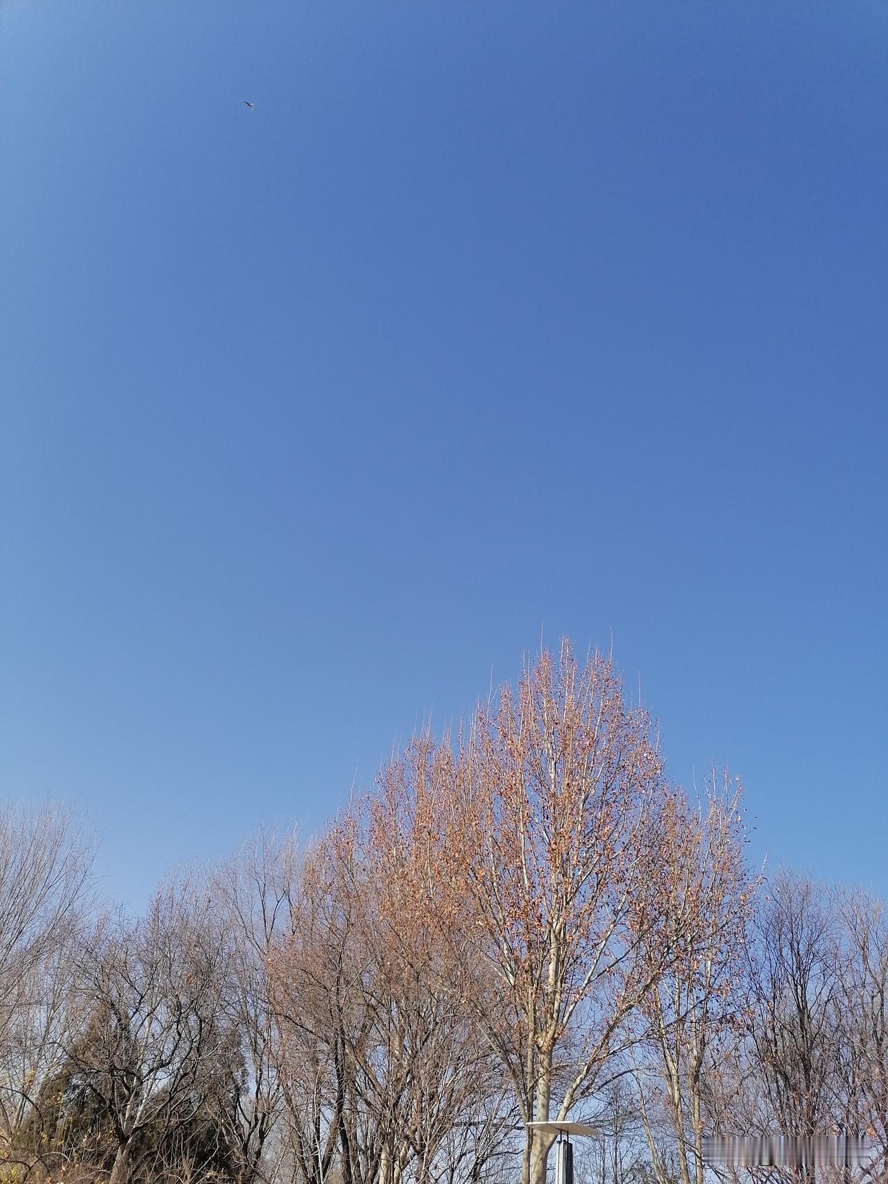 慢慢找回当年的感觉，写毛笔字，能让我回想起很多青春的记忆，某个瞬间，某个场景，或