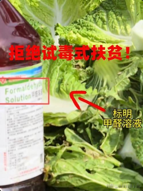 如何看待河北张家口甲醛白菜一些商人为了利益不顾百姓死活。我觉得就应该像古代律法一