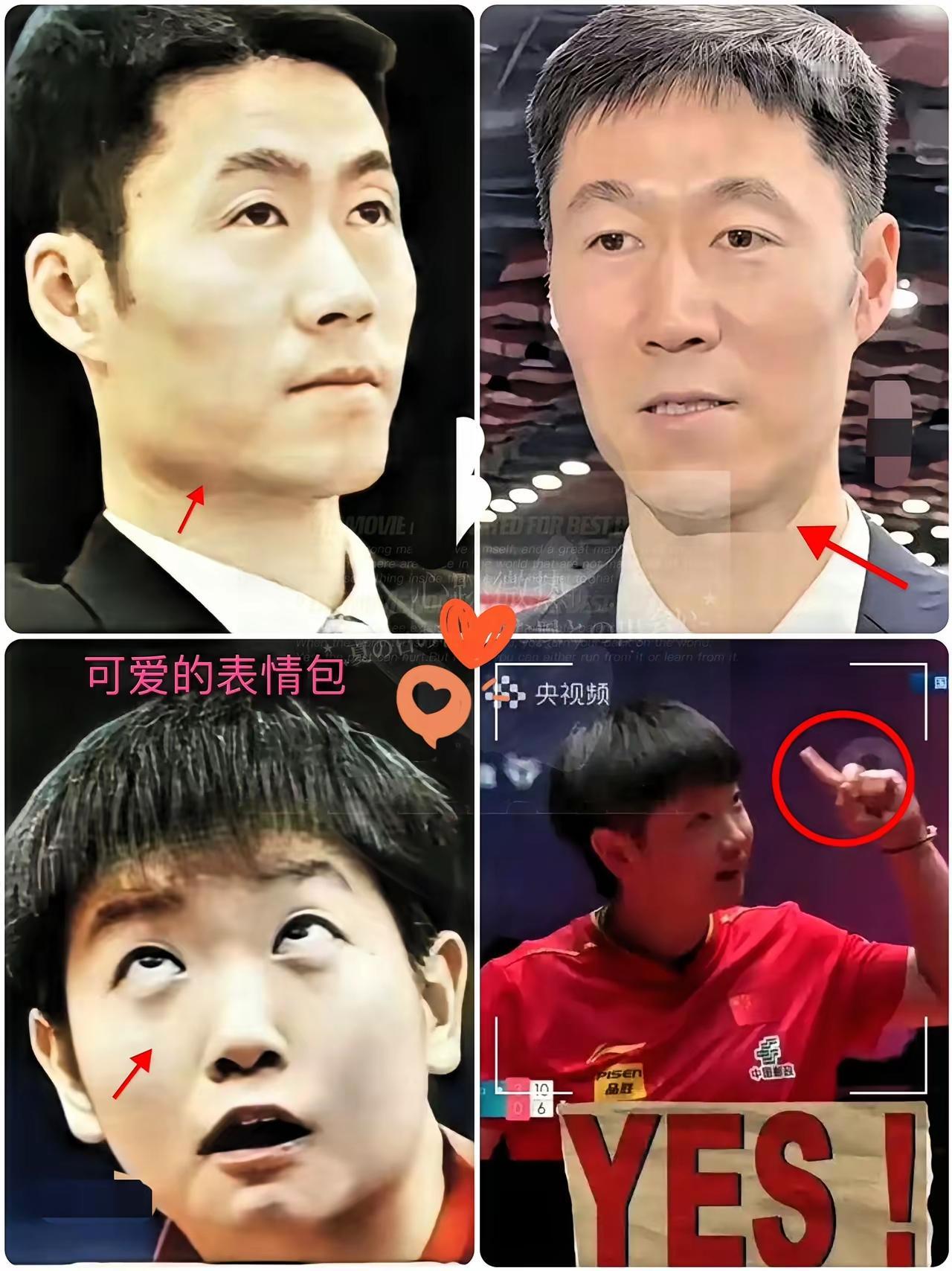 枯涩的王励勤
铿锵的小莎莎

王不是春风
莎定要开花🌺

你说该咋整
冲突就来