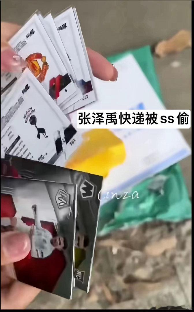 张泽禹  从哈尔滨到重庆，11岁的你独自踏上追梦路。这一路，有过“二票”的失落，