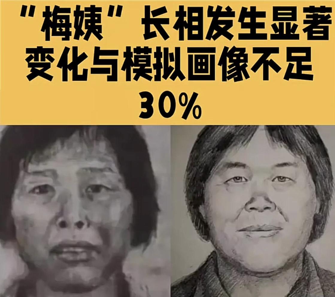 人贩子“梅姨”已落网，可她的真容一直没公开！官方给出的理由就是，现阶段不便公开她