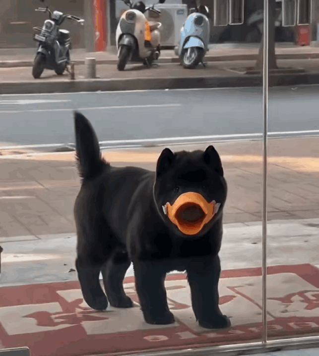 这是为什么