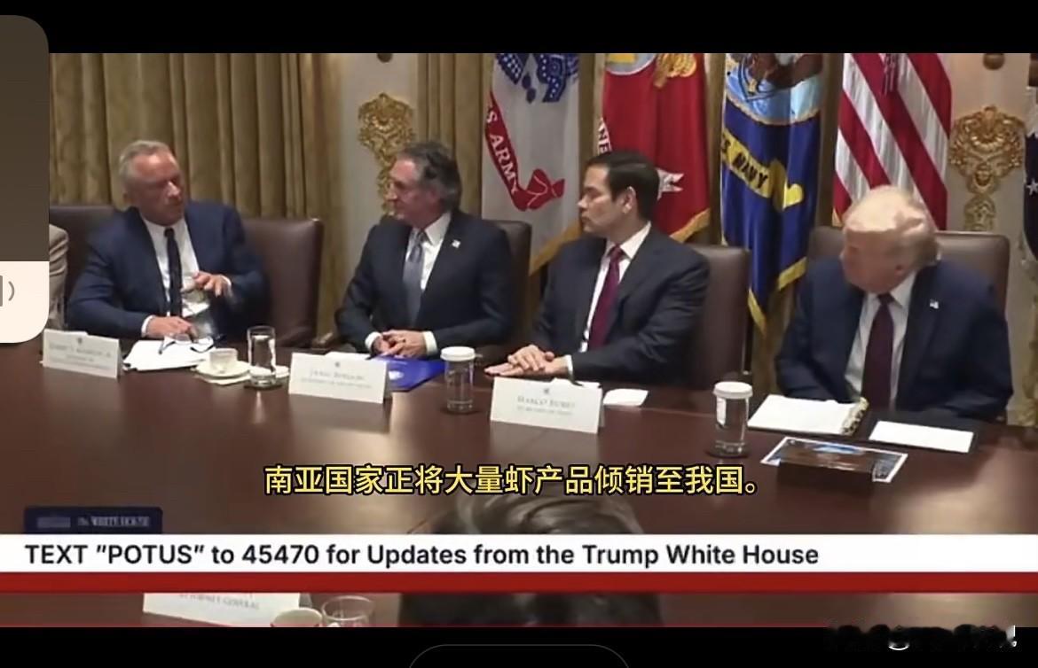 美国卫生部长罗伯特·肯尼迪：

“南亚国家正在向我国倾销虾类产品。”

“这些虾