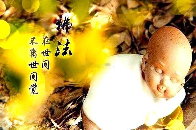 做了善事被辜负，菩萨终会庇佑你；付出善心吃了亏，天道终会补偿你 