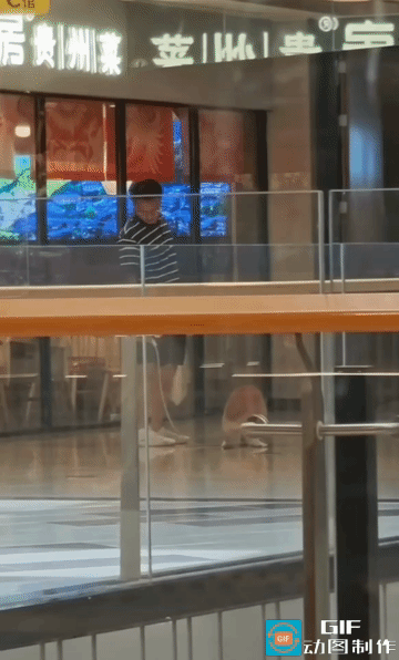 商场遛狗不捡屎！” 南京某商场内，一名男子遛狗时放任犬只在公共区域排便，事后径直