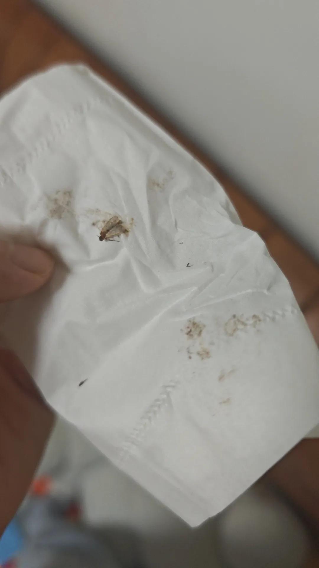 
最近家里多了好多虫子，每次都不一样，把我咬的体无完肤，大家有什么好主意吗？
