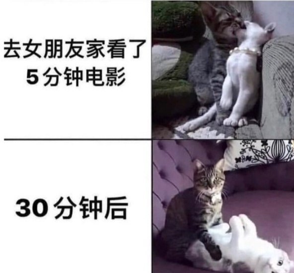 不然呢 