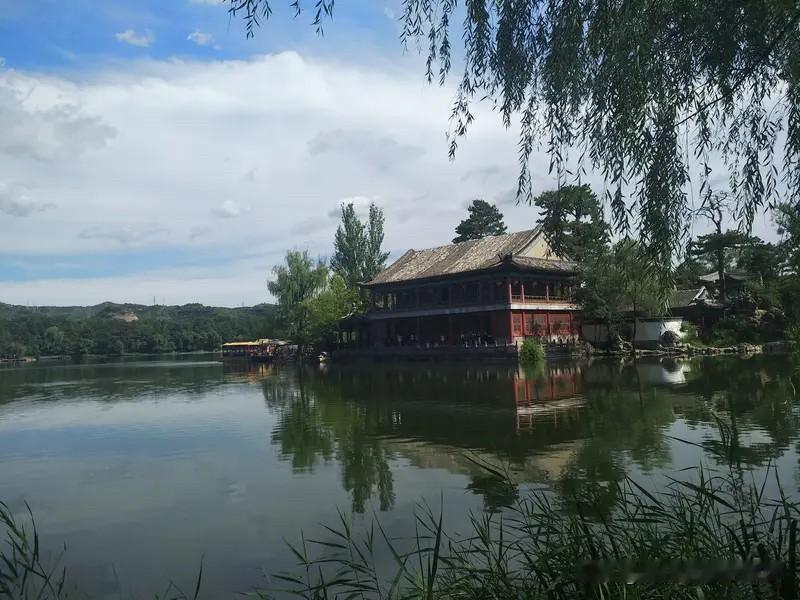 老界岭的早晨凉得扎手。我在避暑山庄的床上醒来，听见鸟叫，像是谁在远处弹玻璃珠子。