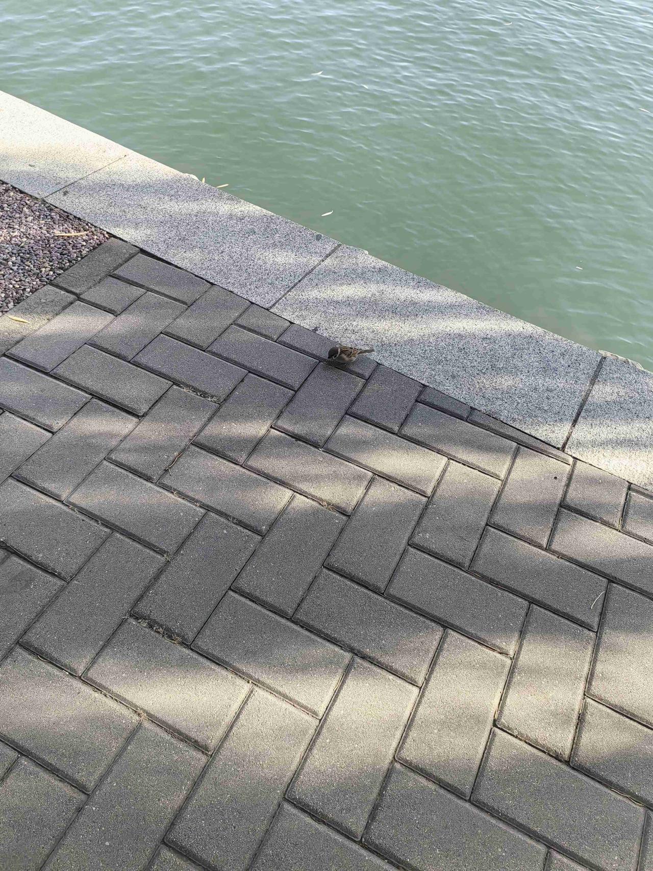 我的今日状态：😁轻松愉快
我这里的天气：☀️晴天