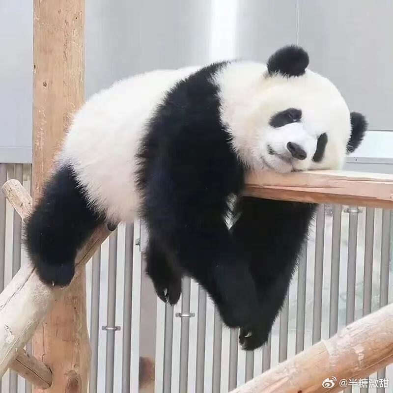 会过日子是一项很重要的能力省钱不是最终目的，掌控生活才是。会过日子，拥有清晰的消