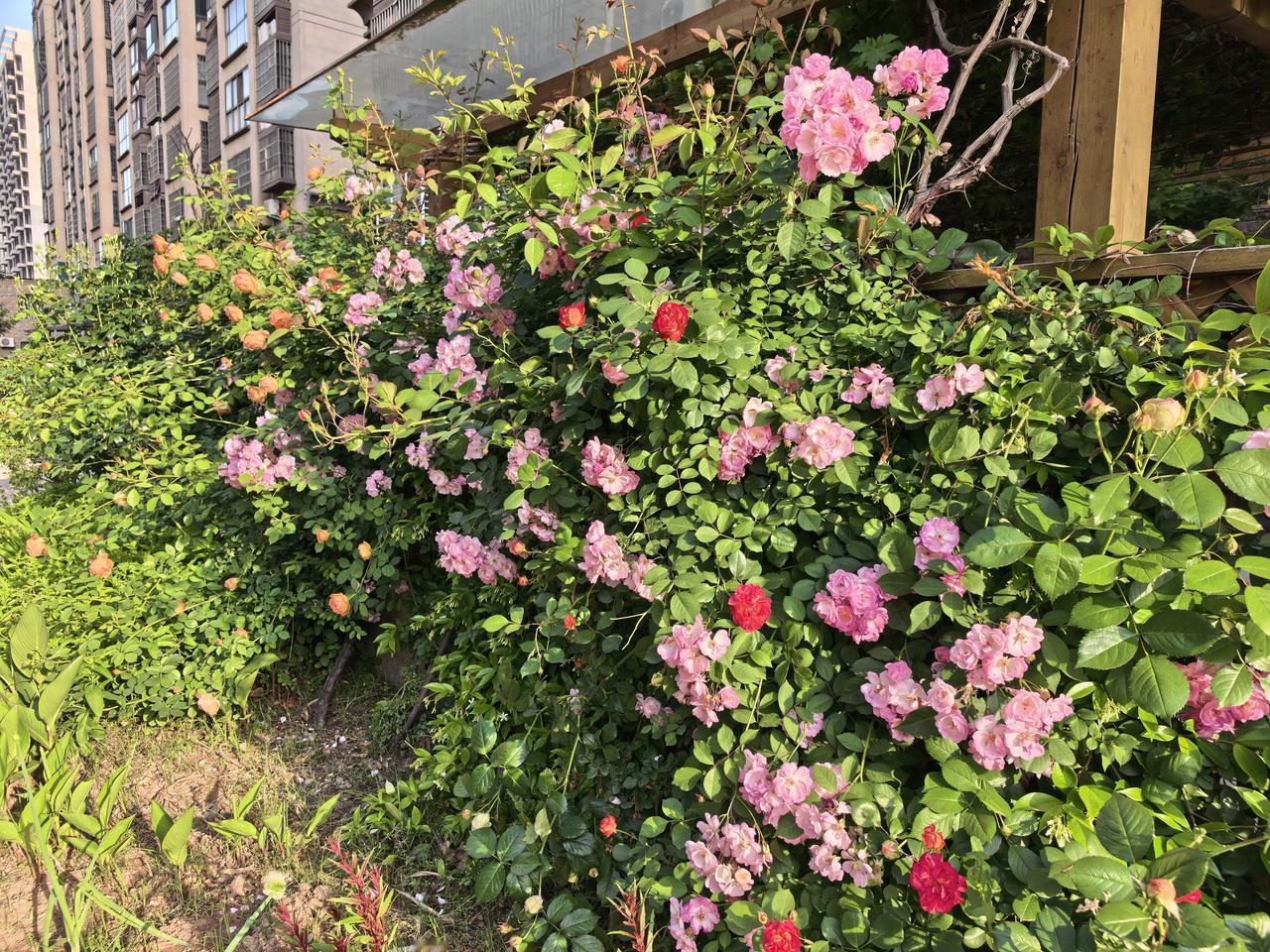 曾国藩跟左宗棠斗法，逸闻轶事不少，其中二人对联互讽，颇有异趣。
曾国藩上联是：