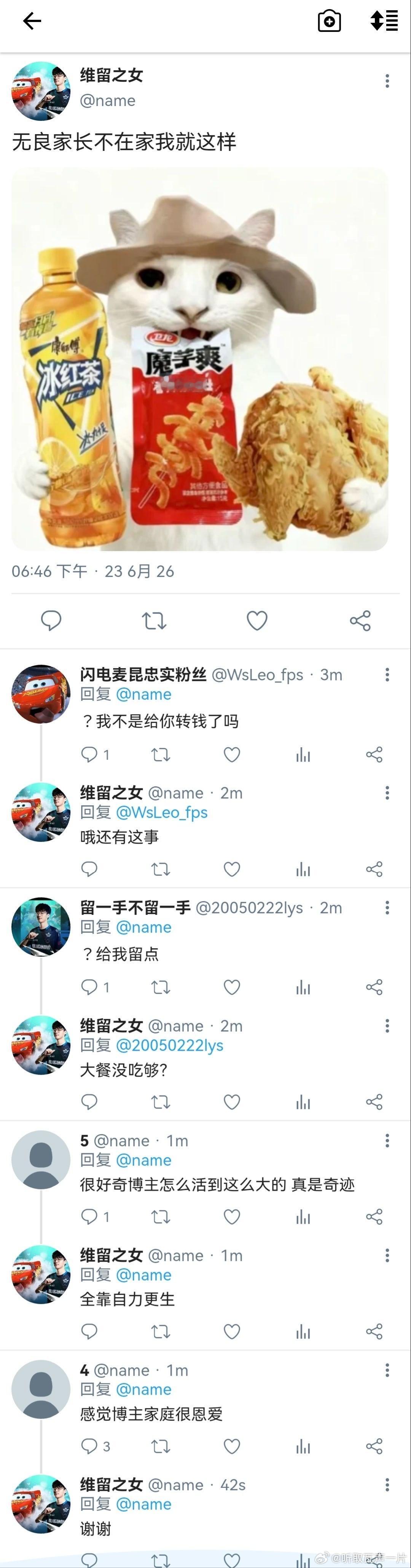 23535【瓦吗】维留之女的日记2.0 