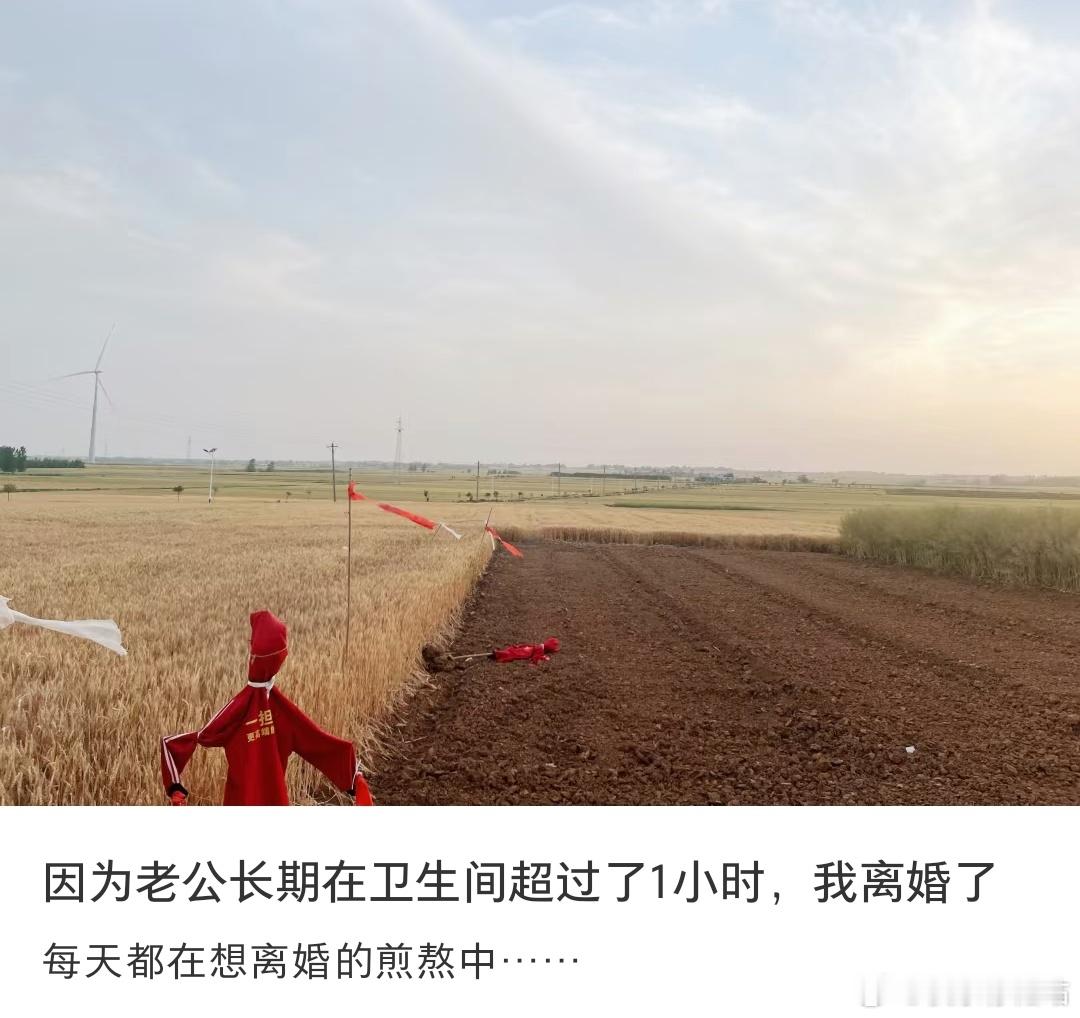因为老公长期在卫生间超过了1小时，我离婚了 ​​​