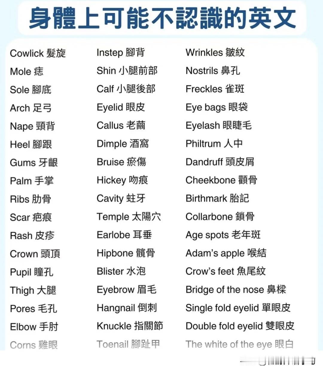 跟“身体部位”有关的英语词汇