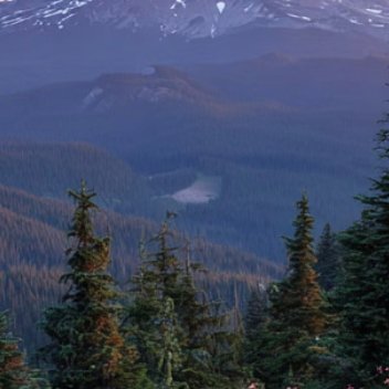 每日一善  每日一善 阳光信用 心善则美，心纯则真，持有一颗平常心，坐看云起云落