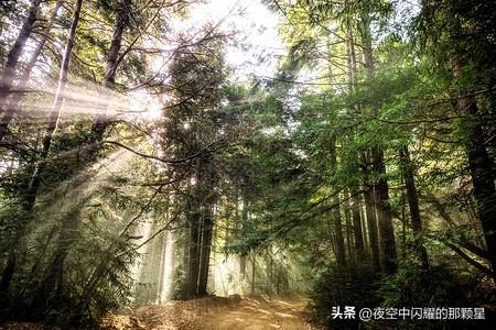 有什么东西看不见但很重要
 
我们总习惯追逐看得见的光鲜，却常常忽略那些无形却支