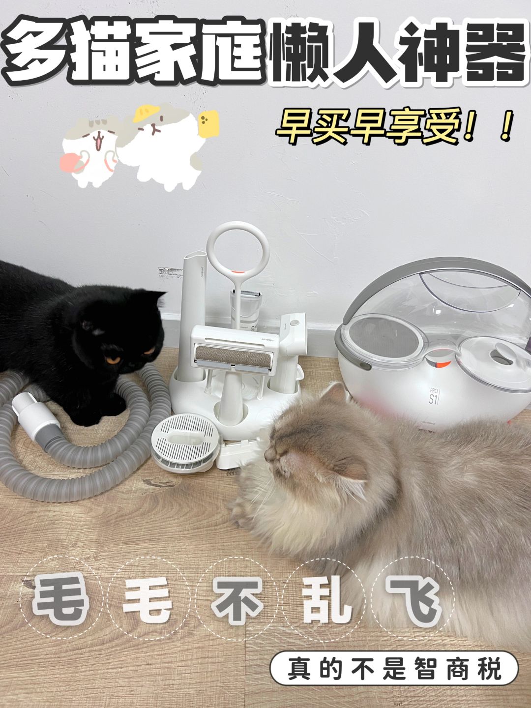 多猫家庭宝藏理毛神器！懒人养猫好物测评！