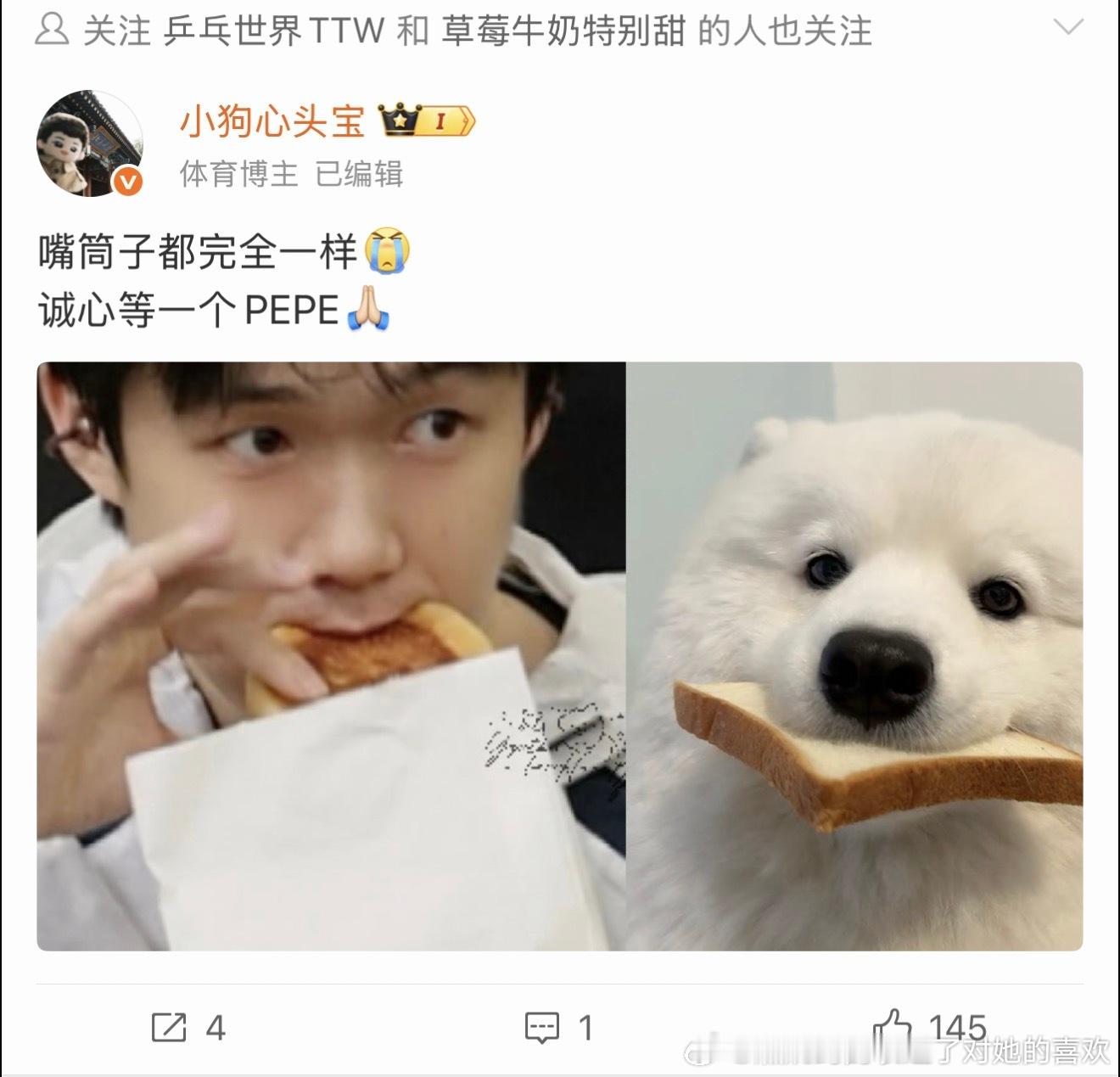 放过萨摩耶放过萨摩耶放过萨摩耶放过萨摩耶求求你们了🙏🙏🙏🙏 