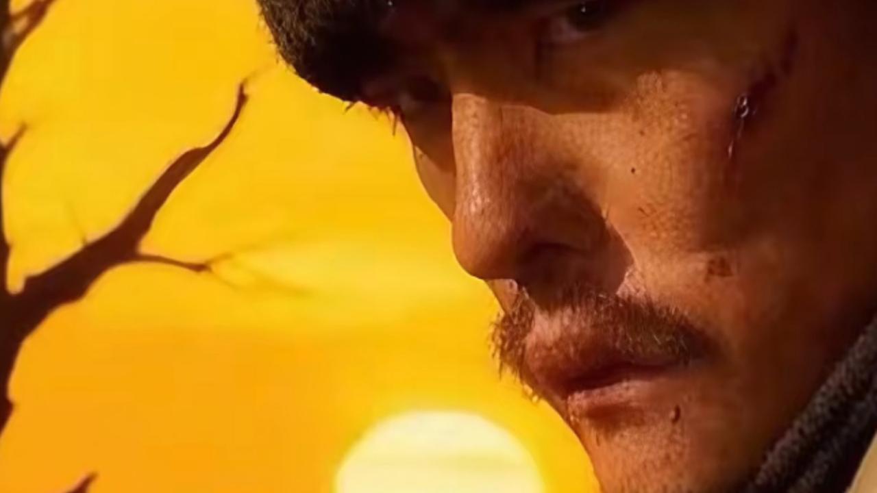 原来刀疤哥才是流量之王！之前一直以为七星山流量担当是林北和冷美人，但是在休整期间