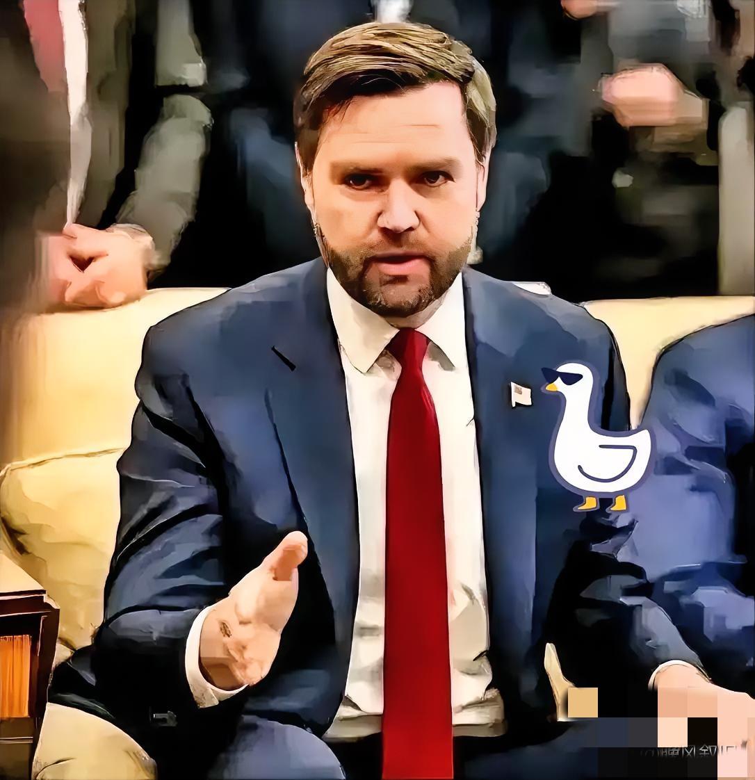 万斯扯下美国遮羞布！台海棋局里，从来只有利益没有情义
 
万斯一句话，算是把美国